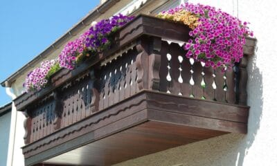 kwiaty na balkon